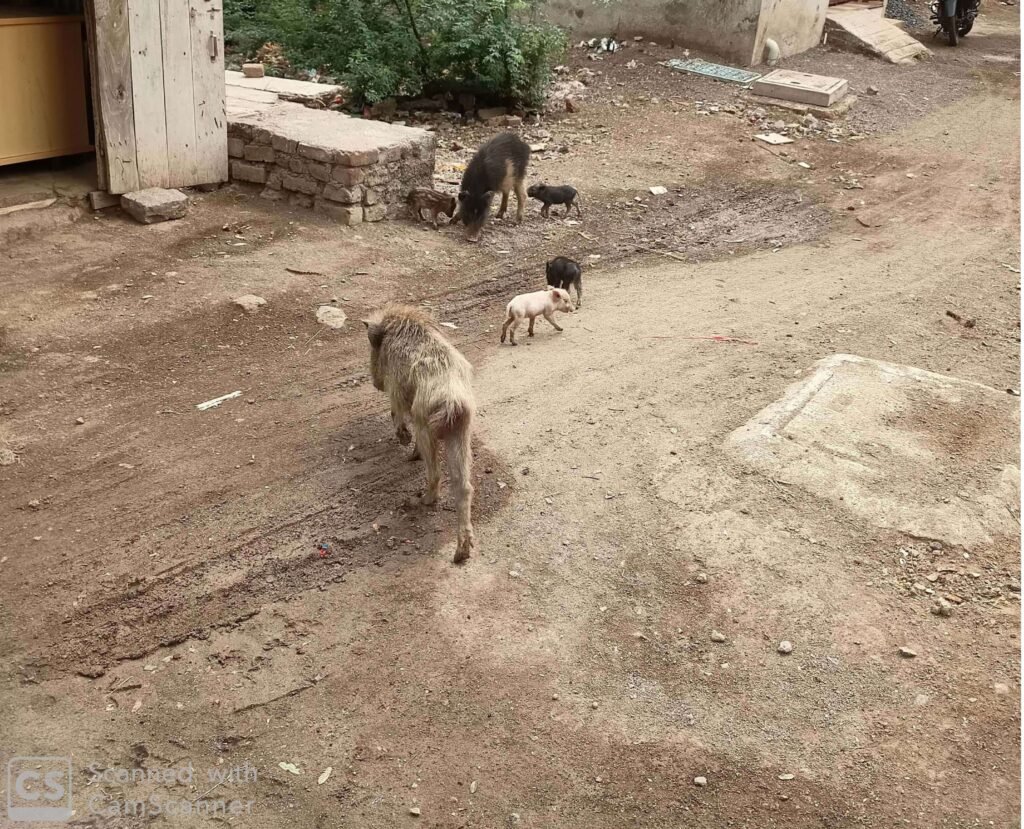 New Doc 2023-03-16 12.44.58_1