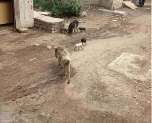 New Doc 2023-03-16 12.44.58_1