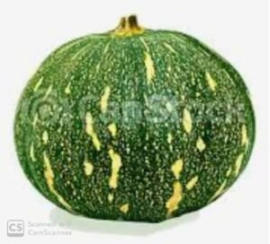 New Doc 2023-03-16 23.11.05_1(2)