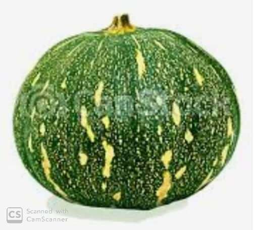 New Doc 2023-03-16 23.11.05_1(2)